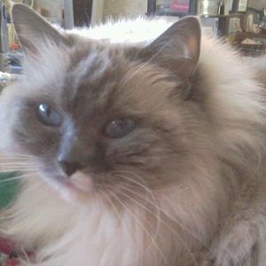 Meet your Posher, Carole